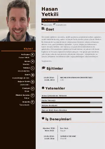 Havacılık Ve Uzay Uçak Mühendisi Cv Örnekleri cv indir